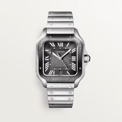 Cartier santos with accesories